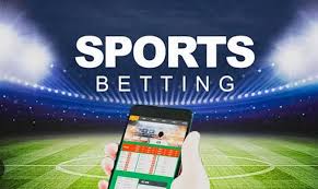 Everything You Need to Know About Hola Bet 16 Everything You Need to Know About Hola Bet 16