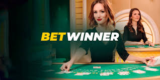 Discover the Exciting World of BetWinner Casino 8